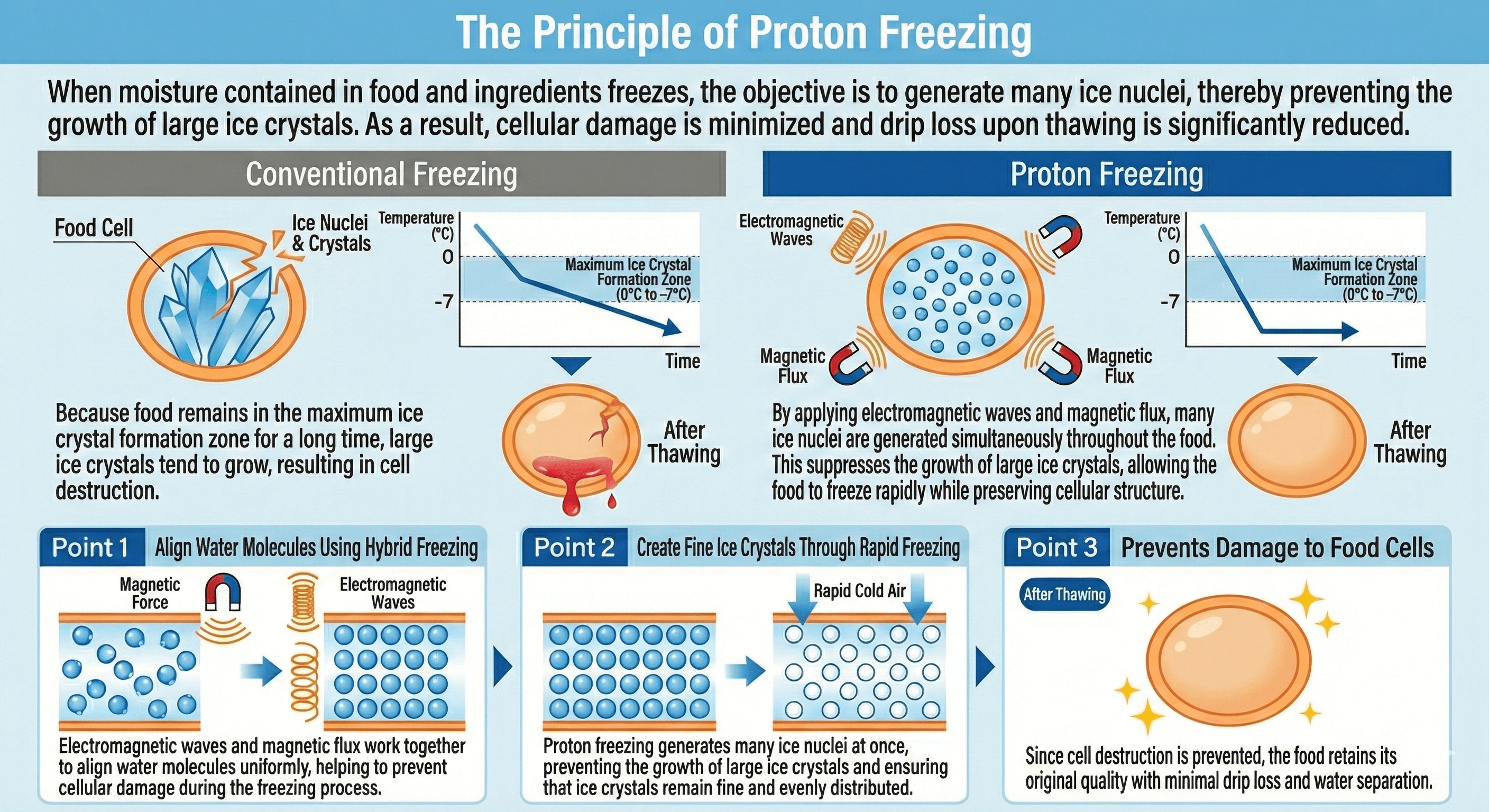 The Principle of Proton Freezing